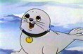 /album/fotogaleria/bebe-foca-jpg/
